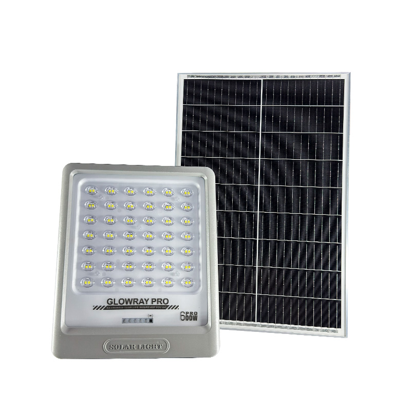 600W Pro Model