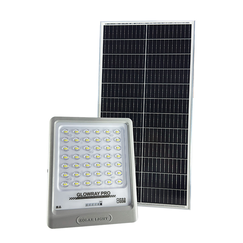 800W Elite Model