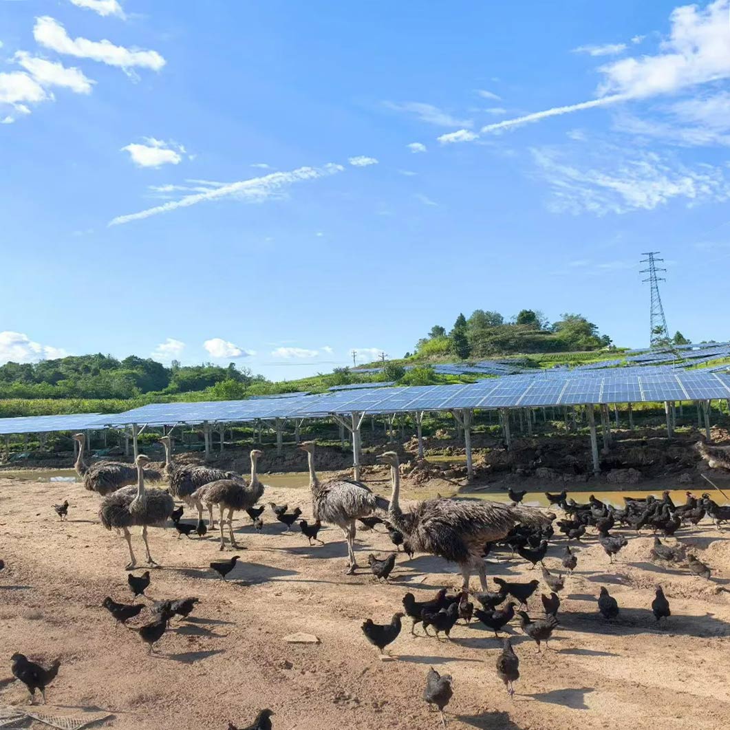 Future Green Powers the Energy Transition at Australia’s 